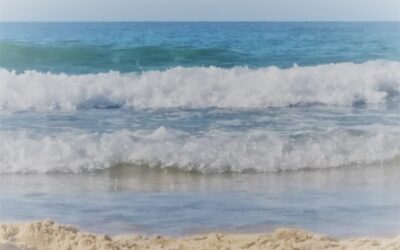 Kompas naar een energieker leven